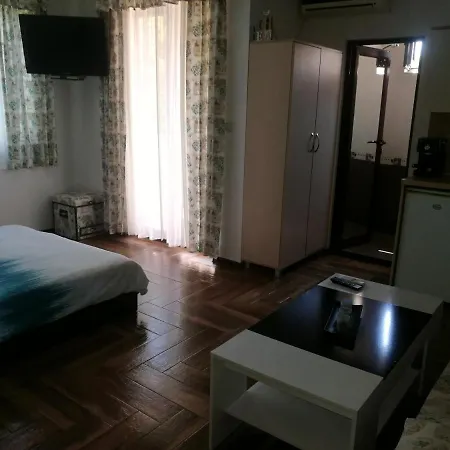 ели 招待所 3*