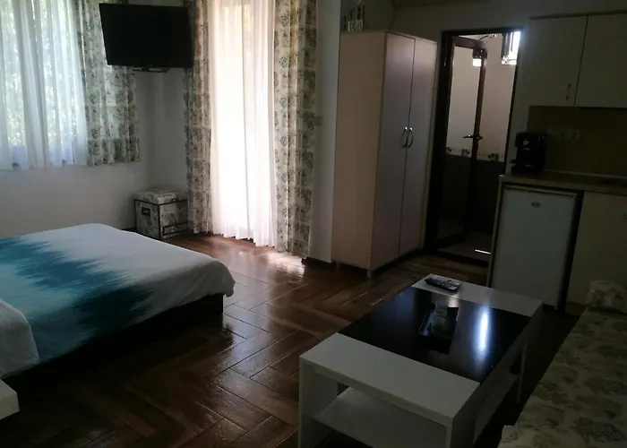 ели Guest house 3*