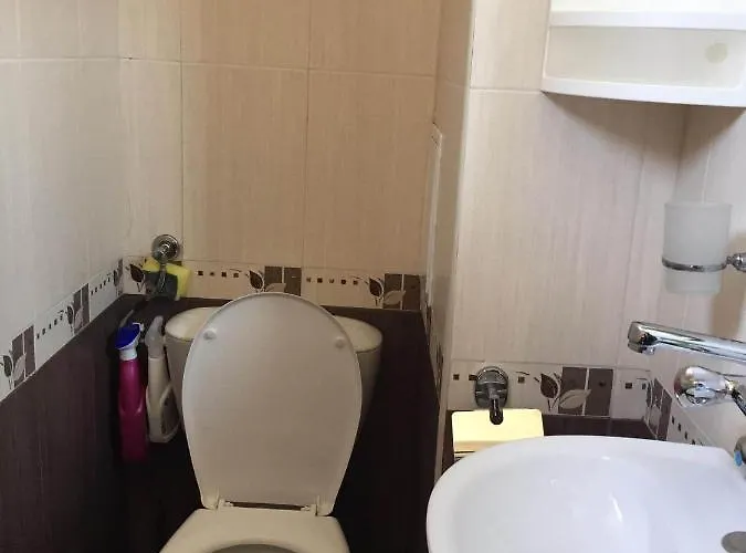 ели Guest house 3*