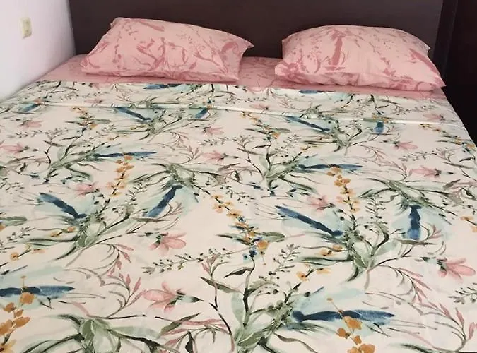 ели Guest house Primorsko