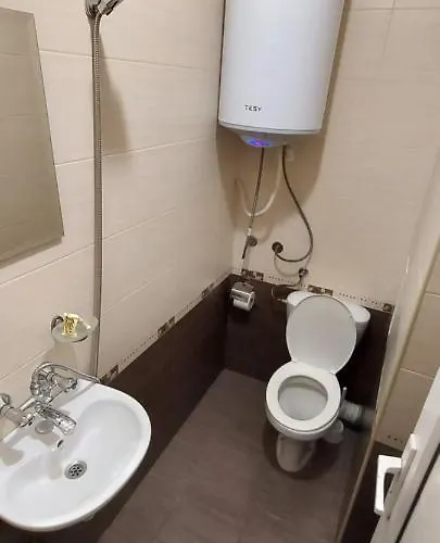 ели Guest house 3*