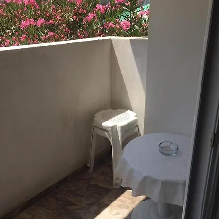 ели 3* Primorszko