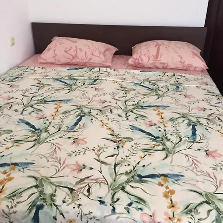 ели Vendégház Primorszko